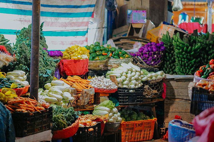 health benefits costa rica