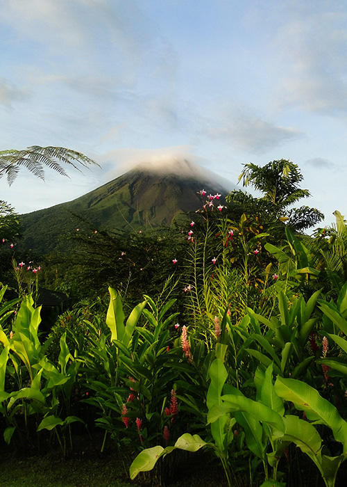 lake arenal property management